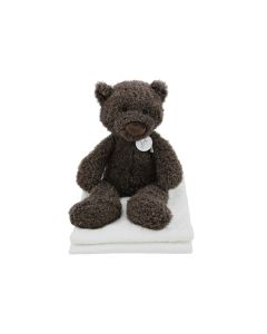 Bear Bor op katoenen babydeken