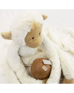 Vintage voetbal met White Hanging Monkey op knots babydeken