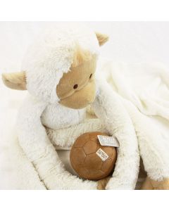 Vintage voetbal met White Hanging Monkey op knots babydeken